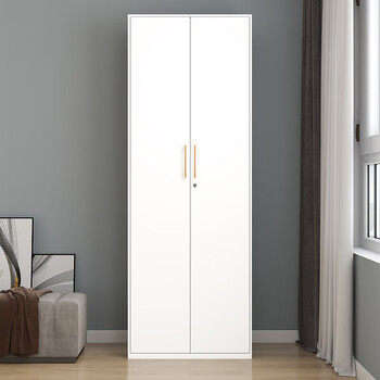 洛克菲勒家用卧室铁皮衣柜阳台储物柜小户型置物简易钢制更衣柜子双门五层