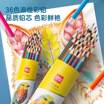 得力（deli）彩铅36色油性彩色铅笔原木六角杆学生涂色专业美术画笔套装彩笔文具女孩儿童礼物涂鸦毕业