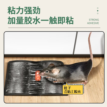 绿叶粘鼠板 薄板捕鼠工具粘老鼠贴灭鼠板老鼠粘板40片装GL02113