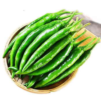 新鲜杭州杭椒 微辣的小尖椒油焖食用青辣椒 1500g