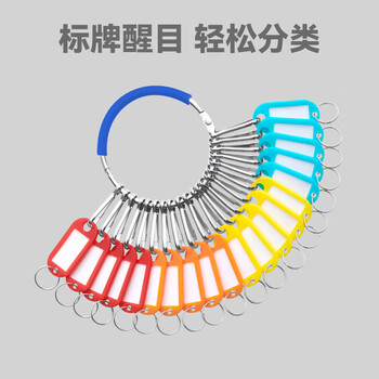 DSB（迪士比）钥匙盘蓝色手环20位 25个标记牌钥匙圈标记牌钥匙串钥匙扣加厚不锈钢标记分类收纳