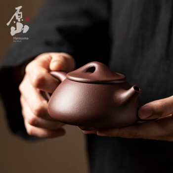 顾景舟紫砂壶老款图片- 抖音