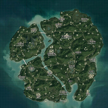 地图绝地求生吃鸡游戏新度假岛网吧自粘壁纸墙贴手游和平精英雨林原版