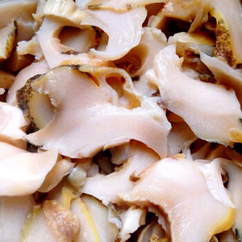 618抢购价速冻海螺片350g日料芥末酒店饭店餐饮用特色菜半成品菜冷冻