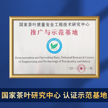 日照绿茶2025新茶有机绿茶清香型豆香特级120g天时茶叶礼盒山东特产礼品