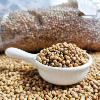 橙伯乐【严选好物】香菜籽香料500g*2可食用 芫荽籽粉 香菜籽粉 小叶