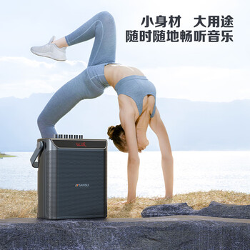 山水（SANSUI）E76户外k歌专用广场舞音响便携式移动大音量大功率唱歌音响露营声卡直播收款电木吉他民谣乐器音箱