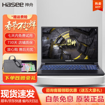 神舟战神z8 二手笔记本战神tx9游戏本 RTX4060独显 144hz吃鸡电竞屏 15.6英寸 ⑭99新i5-10200 16G 1T固态3060