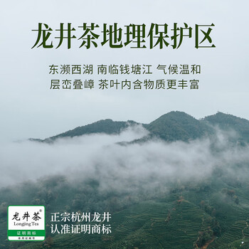 西湖狮井2026新茶明前特级龙井绿茶叶礼盒装100g高端午父亲送礼物领导长辈