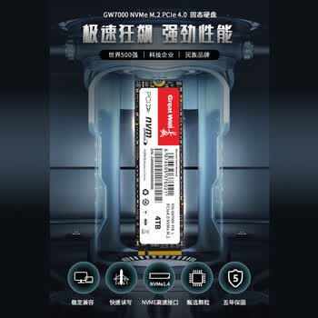 长城（Great Wall）2TB SSD固态硬盘 M.2接口(NVMe协议) PCIe4.0x4 读速高达7300MB/s GW7000系列