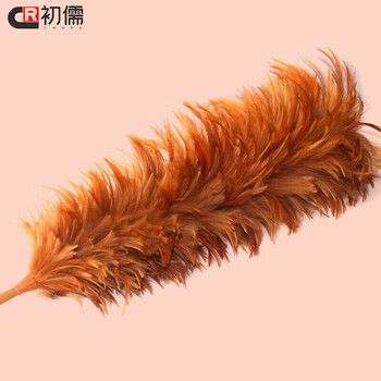 初儒 木柄63cm 除尘扫灰不掉毛清洁鸡毛掸SH-C0380