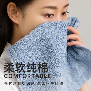 三利A类新疆棉长绒棉毛巾2条装 纯棉洗脸加厚柔软强吸水 蓝+粉