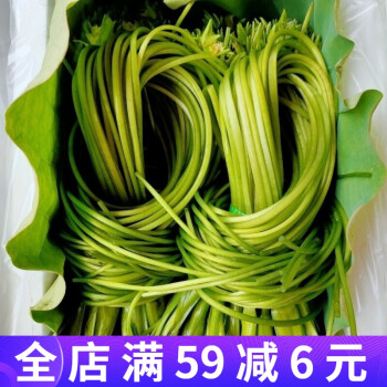 雲南新鮮蔬菜海菜花大理海白菜雲南野菜大理特產普洱海菜水性楊花1斤