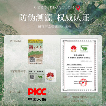 碧螺2026春茶绿茶苏州洞庭碧螺春原产东山茶一级3S50g明前新茶罐装