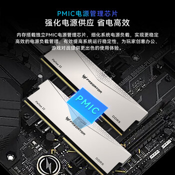 宏碁掠夺者（PREDATOR）32G(16G×2)套装 DDR5 6600频率 台式机内存条 Pallas II 凌霜系列（C34）星光银 AI电脑配件