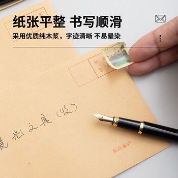 晨光(M&G)文具5号DL牛皮纸信封 220*110mm办公财务发票袋 邮局标准信封袋工资袋 20个装AGWN8530