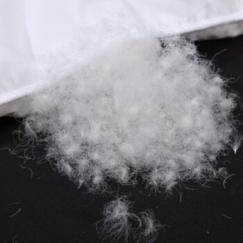 富安娜波兰进口森睡静眠分区白鹅绒被羽绒被好不好优缺点实情？良心评测