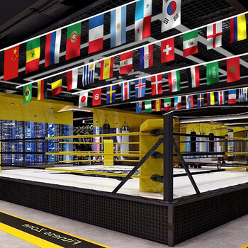 贸丰 各国国旗吊旗悬挂串旗酒吧活动教室布置装饰旗帜【8号各国】50面旗 约15米/1条