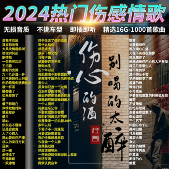 九头鸟2024抖音全网流行dj网红歌车载u盘最新歌曲usb无损高音质汽车