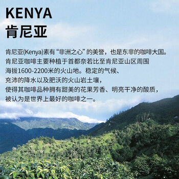 LUJIAZUI鹿家嘴肯尼亚 尼耶里AA手冲浅度烘焙单品阿拉比卡精品咖啡豆200g 