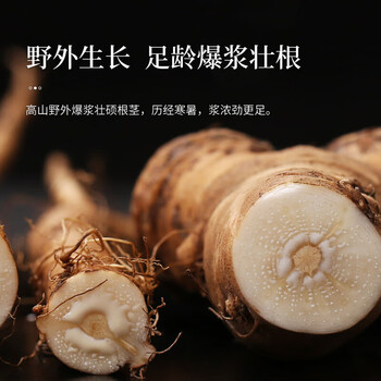 同仁堂（TRT）蒲公英根茶婆婆丁炒制莆公英颗粒大段蒲公英茶250g/罐