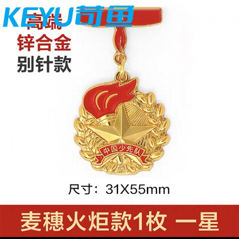 苛鱼红领巾奖章学校少先队个人星级章升级款红星少先火炬徽章现货 (一