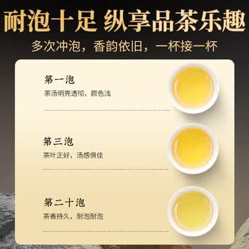 珍茶师乌龙茶凤凰单枞鸭屎香特级500g 罐装潮州单丛茶叶自己喝