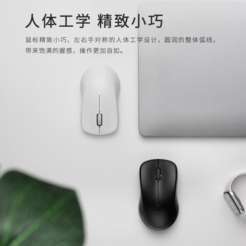 雷柏（Rapoo） 1680 无线鼠标 办公鼠标 轻音鼠标 便携鼠标 对称鼠标 笔记本鼠标 电脑鼠标 白色