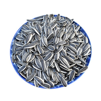 内蒙古五原生葵花籽特大颗粒新货363精品原产地无添加瓜子3斤特大精品