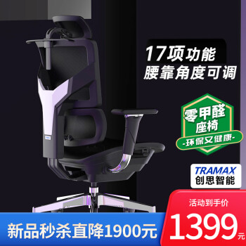 TRAMAX 创思智能RX3 电脑椅人体工学椅办公电竞椅游戏椅家用网椅 RX3 经典黑