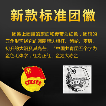 欧唛（oumai） 共青团团徽 胸章标准款 别针磁扣款 学生团员团徽 5枚装 团徽2CM别针款