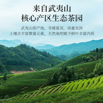 华祥苑武夷印象 大红袍茶叶武夷山岩茶茶叶礼盒乌龙茶250g送礼高档礼品