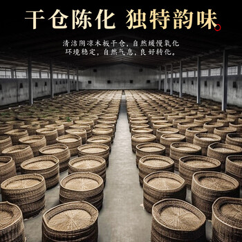 七春黑茶六堡茶叶礼盒320g珍藏陈香广西梧州产散熟茶中秋教师节礼物
