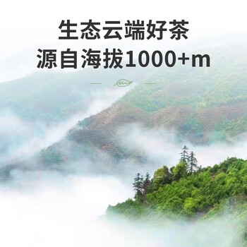 顶青湖鸭屎香 古树老枞高山凤凰单丛茶 乌岽单枞碳焙头春潮州乌龙茶100g