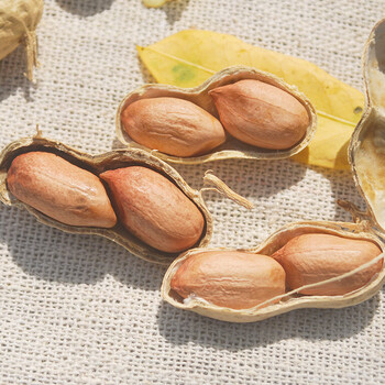 红皮花生米带壳新货四粒红花生米生晒干农家自种红皮花生500g 生带壳