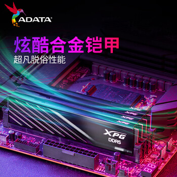威刚(ADATA) 32GB(16GBX2)套装 DDR5 6400 台式机内存条 海力士A-die颗粒 XPG威龙D300（黑色）C32