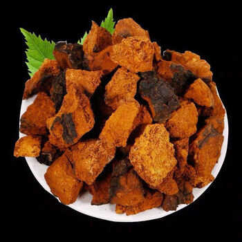 芦阳芝中药材原料 藏矷山 大粒芦阳芝天然庐阳芝 滋补养生泡煮水