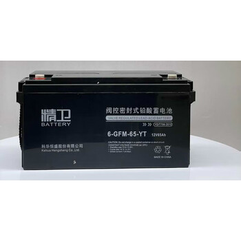 科华精卫蓄电池6-gfm-12v24/38/65/100/120/150/200ah-yt铅酸ups 12v