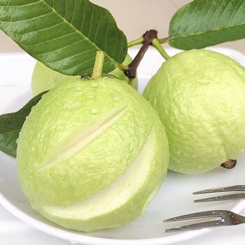 软糯香广西软心白心芭乐现摘番石榴水果低糖应季白心香软巴乐二十年老