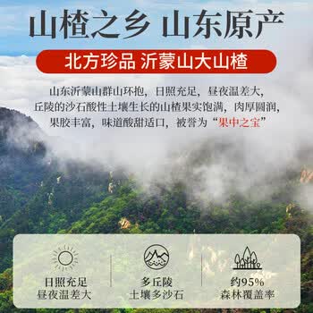同仁堂（TRT）山楂片无核山楂空心无添加去核山楂干