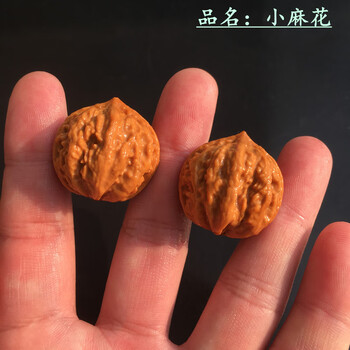 【東京文玩育成】文玩核桃 野生小众 孤品 文玩核桃手玩红宝石小众核桃文玩男士手把件核桃古玩天然野生精品