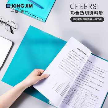 锦宫（KINGJIM）资料收纳册收集册学生试卷整理办公文件透明20页A4资料册乳白色CH182T