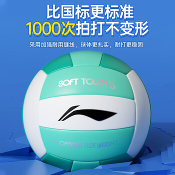 李宁（LI-NING）排球【中考训练】比赛专用中小学体考成人儿童男女硬排软排球5号 