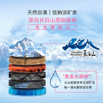 泉阳泉（QUANYANGQUAN）长白山天然矿泉水 低钠淡矿 1L*12瓶 整箱
