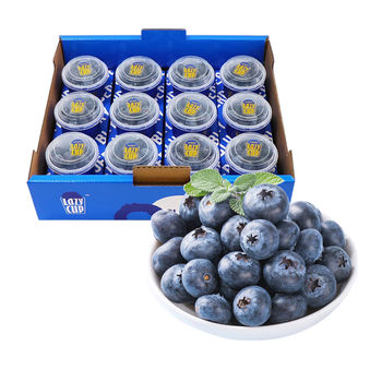 赣馨园云南高山蓝莓鲜果盒装应当季水果现发孕妇整箱大果2盒250g