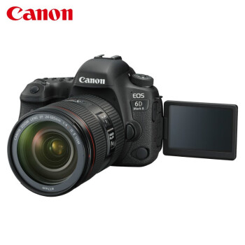 佳能（Canon）EOS 6D Mark II 6D2全画幅单反相机 EF 24-105mm f/4L IS II USM红圈标准镜头套机