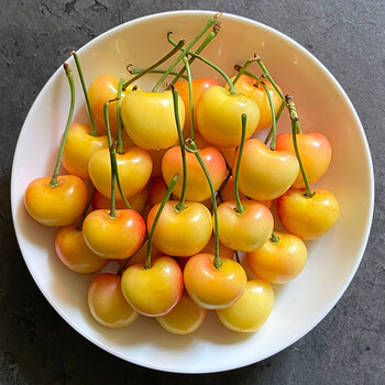 鑫果滋黄金车厘子 大连黄樱桃山东金车大樱桃国产jjj车里子新鲜水果