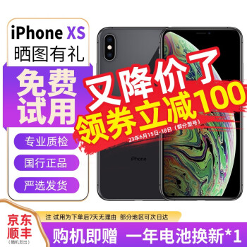 256GB iPhone XS Max价格报价行情- 京东