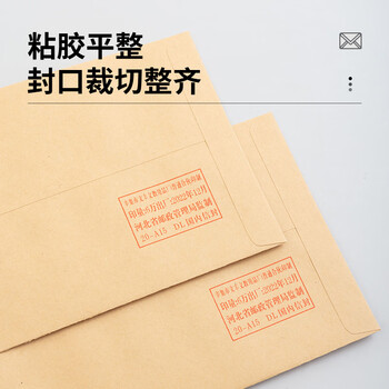 晨光（M&G）热门商品5号DL牛皮纸信封 220*110mm办公专用发票袋 商务信封袋工资袋 50个AGW98237 新老款随机发