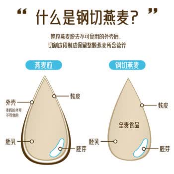 红锚澳洲进口 钢切燕麦 原味早餐麦片 澳洲原产健康谷物 750g